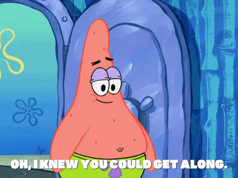 season 6 pet or pets GIF by SpongeBob SquarePants