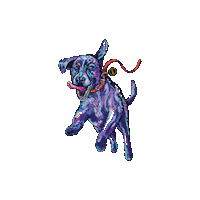 nola turbodog Sticker by Abita Brewery Co