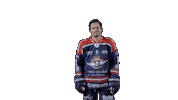 Ducs Dangers Hockey Sticker by Les Ducs d'Angers