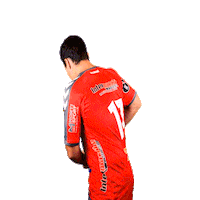 Handball Dorian Sticker by Club-HBGR