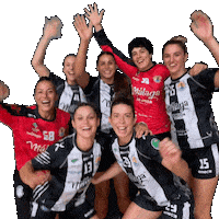 Handball Player Sticker by Club Balonmano Femenino Málaga Costa del Sol