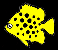 mundoacuariofilo aea-ripple GIF