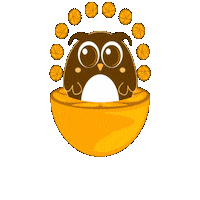 Orange Fruit Sticker