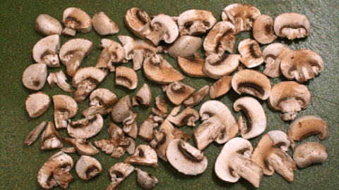 mushroom GIF