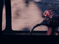 Turkey Kevinthecarrot GIF by Aldi UK