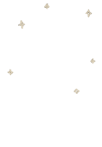 Star Sparkle Sticker