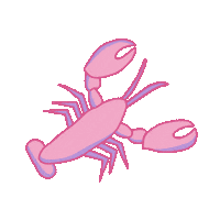 breastcancerhawaii crawfish boil breastcancerhawaii breast cancer hawaii bchcrawfishboil2022 Sticker