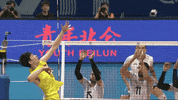 Happy Celebration GIF by Volleyball World