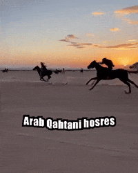 Nawaf505ksa arab qahtani hosres GIF