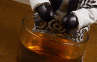 Drunk Red Panda GIF