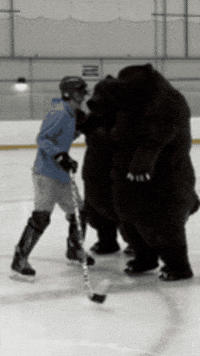 Fight Hockey GIF by heroboard fitnes
