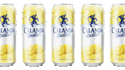 Summer Beer Sticker by Calanda