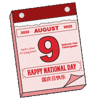 splashsg singapore national day strongertogether doing good Sticker