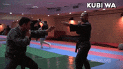 martial arts mma GIF by AKBAN Academy