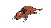 percolategalactic dog tired sleepy doge GIF