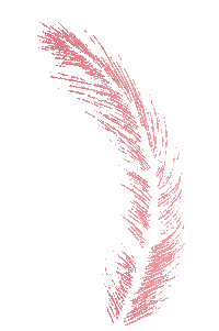 Pink Flower Sticker by elan_cafe