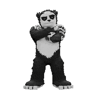 Panda Moderator Sticker by Endangered Labs