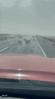 Tumbleweeds Bounce Across Hazy Nevada Highway