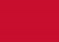 University Of Houston GIF by Coog Mania