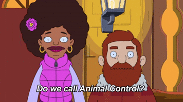 Animal Control | Season 2 Ep. 15 | THE GREAT NORTH