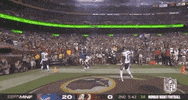 Regular Season Football GIF by NFL