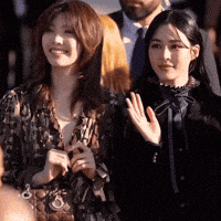 Christian Dior GIF
