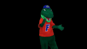 excited fired up GIF by Florida Gators