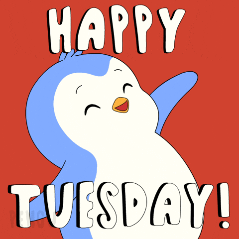 Tuesday Morning Penguin GIF by Pudgy Penguins