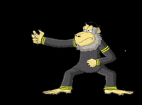 iggoyelfitra monkey ape macaca silat GIF