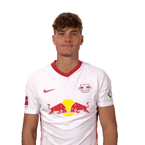 Happy Red Bulls Sticker by Bundesliga