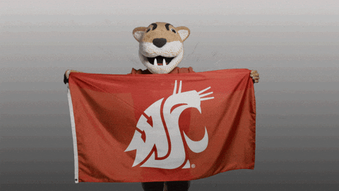 Washington State Go Cougs GIF by WSU Pullman