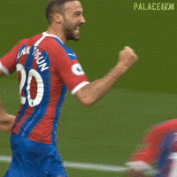 Premier League Sport GIF by CPFC