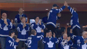 toronto maple leafs GIF by NHL