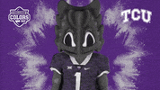 Confused College Sports GIF by College Colors Day