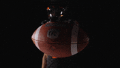 Football Vancouver GIF by BC Lions