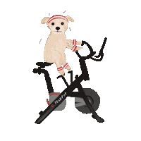 Pelopup Sticker by Andrea Caceres