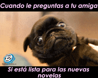 canal 12 nuevas novelas GIF by Canal Doce