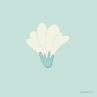 Flower Spring GIF