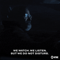 homeland GIF by Showtime