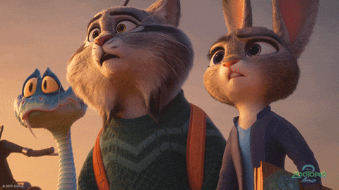 Andy Samberg What GIF by Walt Disney Animation Studios