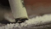 sniffing lady gaga GIF