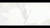 Van Opening GIF