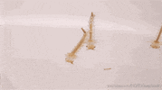 GIF by KQEDScience