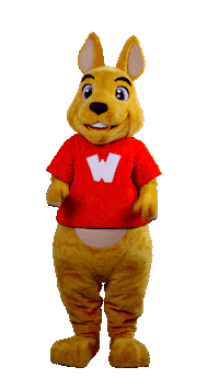 WalibiRA look up top swipe Sticker