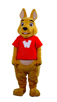 WalibiRA look swipe point link Sticker