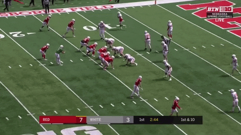 DrPeteyHV giphygifmaker GIF