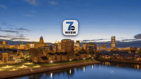 7NewsWKBW giphyupload GIF