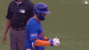 Brandon Nimmo Baseball GIF by New York Mets