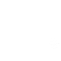 Bee Sticker