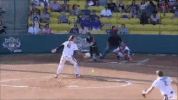 usssapride softball fastpitch usssa npf GIF